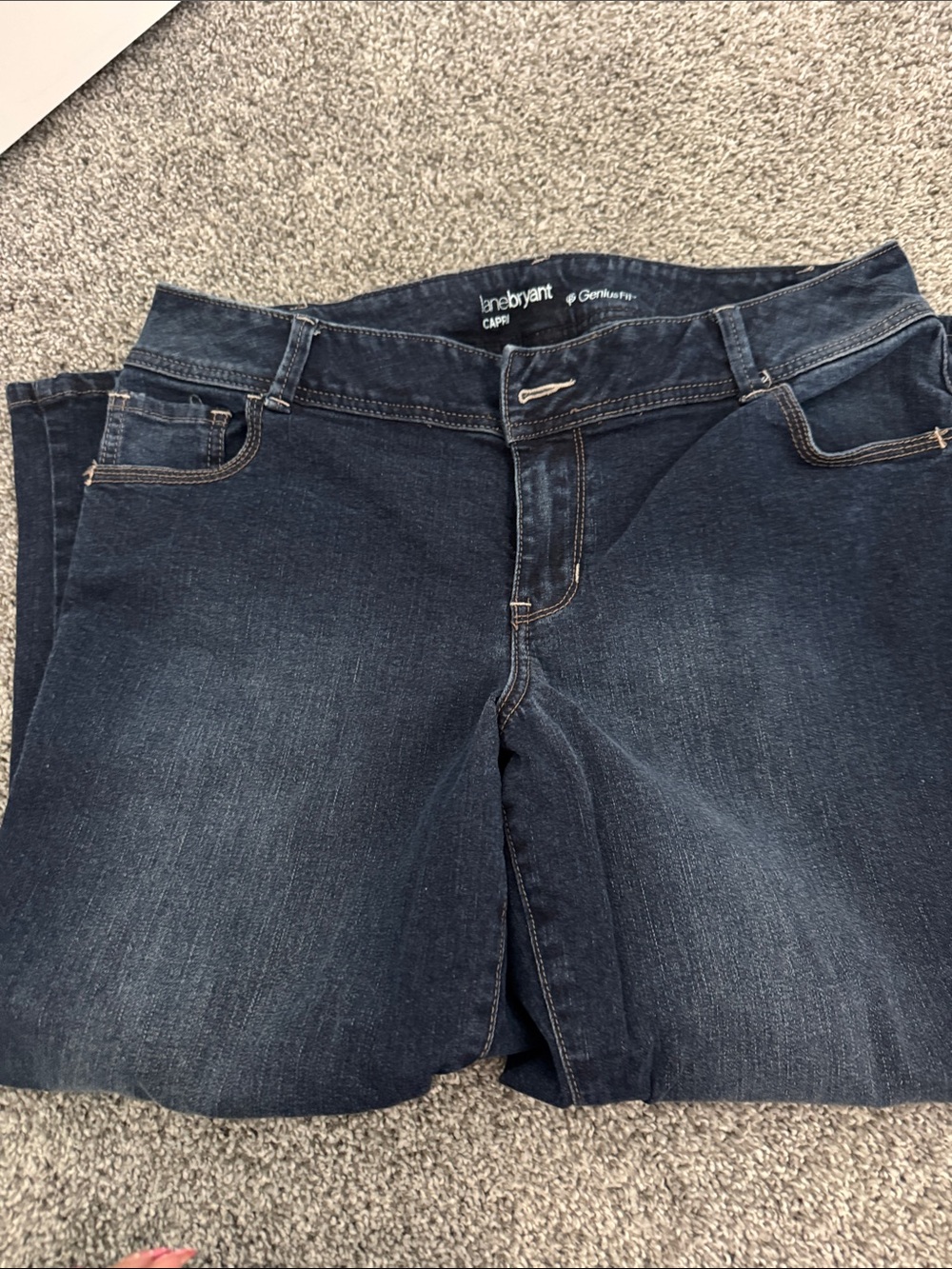 Lane Bryant Dark Wash Women’s Stretch Jean capris